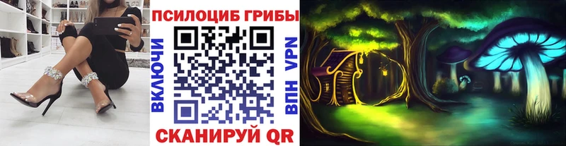 Псилоцибиновые грибы мухоморы  сайты даркнета наркотические препараты  Унеча  даркнет сайт 